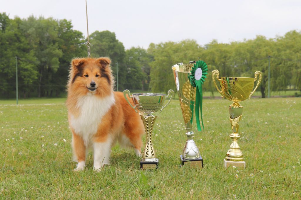 du Jardin d'Angélique - Ziva Championne de France !!!!